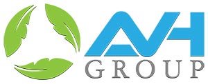 AVH Group